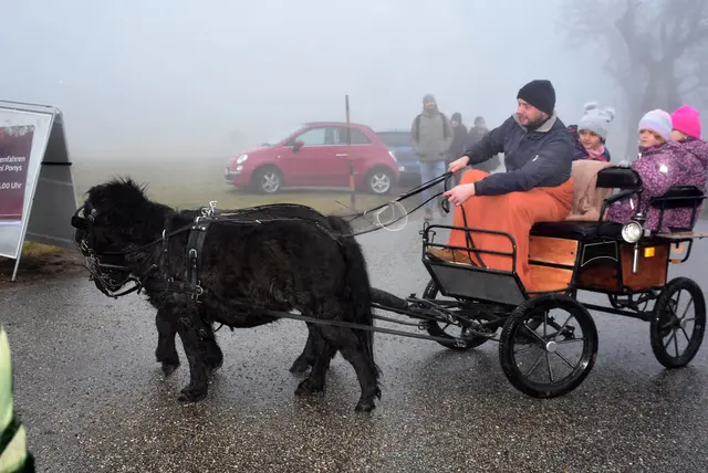Kulinarische Köstlichkeiten und regionale Aussteller erfreuten die zahlreichen Besucher beim vierten Weihnachtszauber der Oberstein Alpacas in Unter St. Thomas 5, St. Thomas am Blasenstein. | Foto: Zinterhof