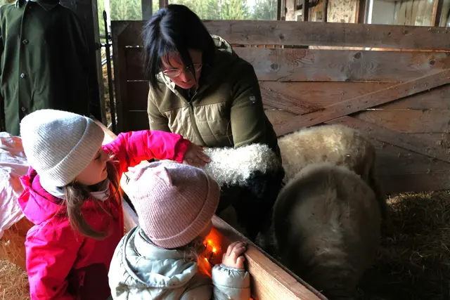 Petra Schrenk vom Moarhofhechtl zeigt den Kinder ein neugeborenes Lamm. 