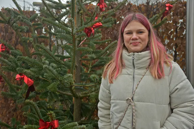 Kulinarische Köstlichkeiten und regionale Aussteller erfreuten die zahlreichen Besucher beim vierten Weihnachtszauber der Oberstein Alpacas in Unter St. Thomas 5, St. Thomas am Blasenstein. | Foto: Zinterhof