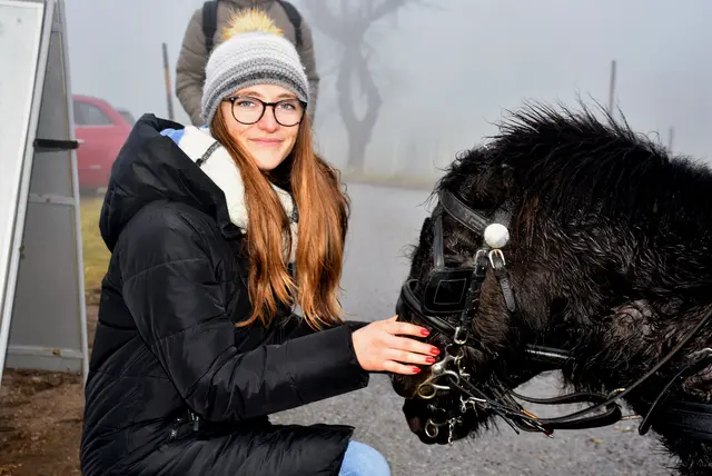 Kulinarische Köstlichkeiten und regionale Aussteller erfreuten die zahlreichen Besucher beim vierten Weihnachtszauber der Oberstein Alpacas in Unter St. Thomas 5, St. Thomas am Blasenstein. | Foto: Zinterhof