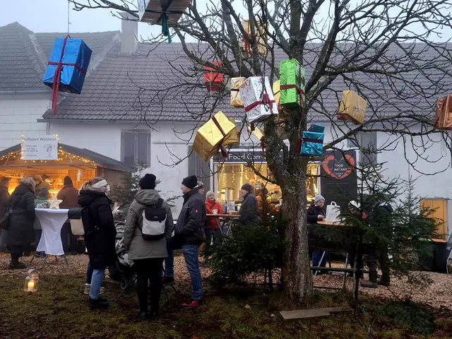 Kulinarische Köstlichkeiten und regionale Aussteller erfreuten die zahlreichen Besucher beim vierten Weihnachtszauber der Oberstein Alpacas in Unter St. Thomas 5, St. Thomas am Blasenstein.