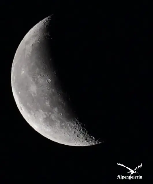 Aufnahme vom heutigen Morgen, 13. Dezember 2025:
Der Mond zeigte sich als abnehmender Mond nach dem letzten Viertel. Rund 39 % seiner Oberfläche waren beleuchtet. Er wurde ab etwa 01:47 Uhr sichtbar, stand rund 33° über dem Horizont in südwestlicher Richtung und verschwand gegen 08:16 Uhr wieder. | Foto: Janet Bleiker  / Alpengeierin 