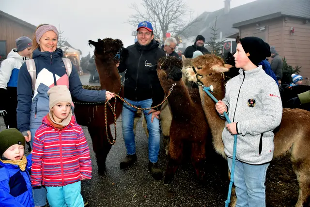Kulinarische Köstlichkeiten und regionale Aussteller erfreuten die zahlreichen Besucher beim vierten Weihnachtszauber der Oberstein Alpacas in Unter St. Thomas 5, St. Thomas am Blasenstein. | Foto: Zinterhof