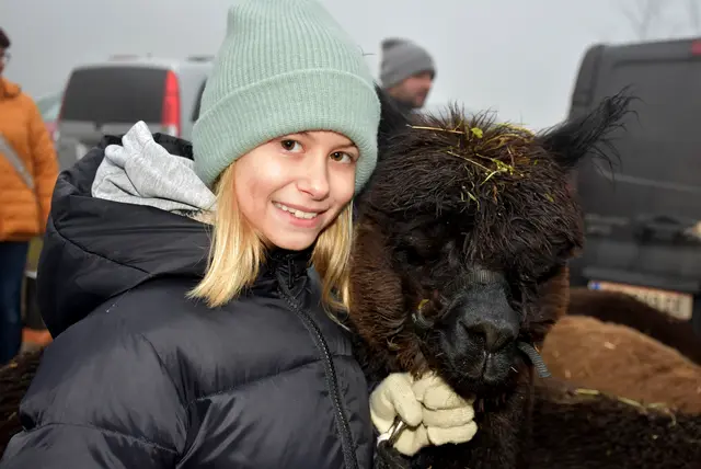 Kulinarische Köstlichkeiten und regionale Aussteller erfreuten die zahlreichen Besucher beim vierten Weihnachtszauber der Oberstein Alpacas in Unter St. Thomas 5, St. Thomas am Blasenstein. | Foto: Zinterhof
