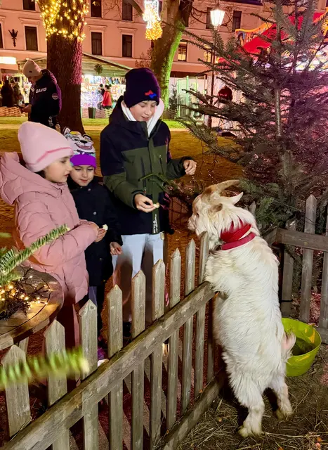Karotten für Petzi. 