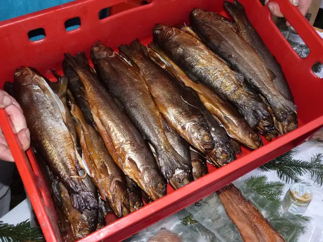 Foto: Vanessa Wittmann