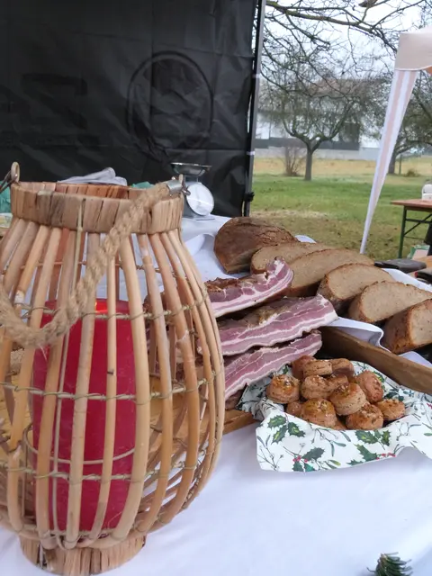 Foto: Vanessa Wittmann