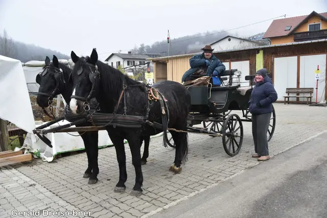 Gratis Pferdekutschenfahrt mit Karl Seifried aus Rohrbach am Kulm, | Foto: Gerald Dreisiebner