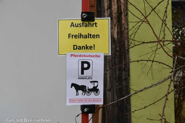 Foto: Gerald Dreisiebner