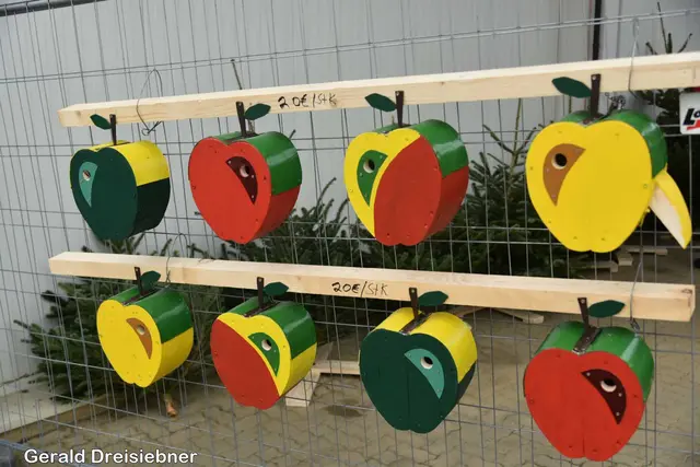 Foto: Gerald Dreisiebner