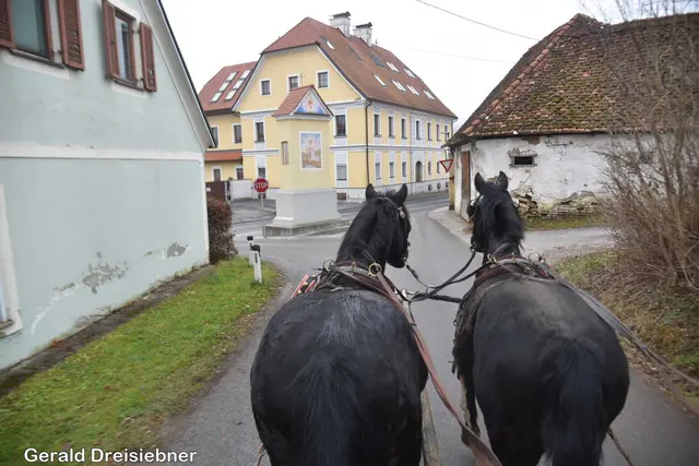 Foto: Gerald Dreisiebner