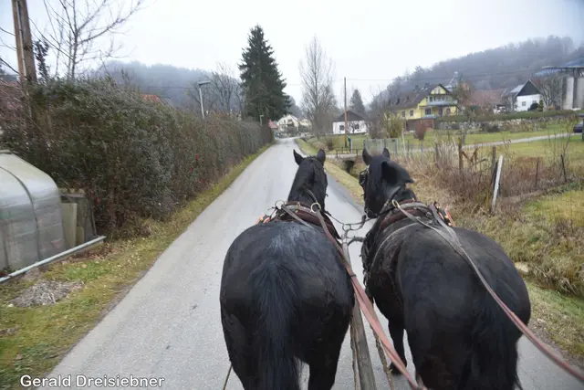 Foto: Gerald Dreisiebner