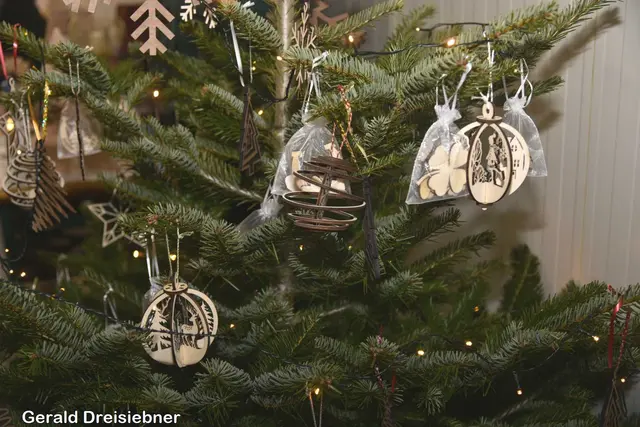 Foto: Gerald Dreisiebner