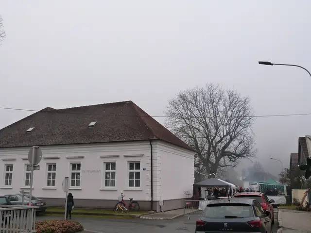 Foto: Vanessa Wittmann