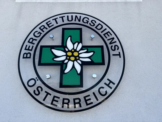 Die Bergrettung Steiermark löste in der Folge einen Gebietsalarm aus.  | Foto: Nicole Hettegger