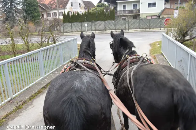 Foto: Gerald Dreisiebner