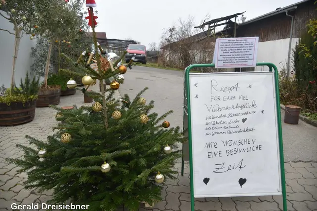 Foto: Gerald Dreisiebner