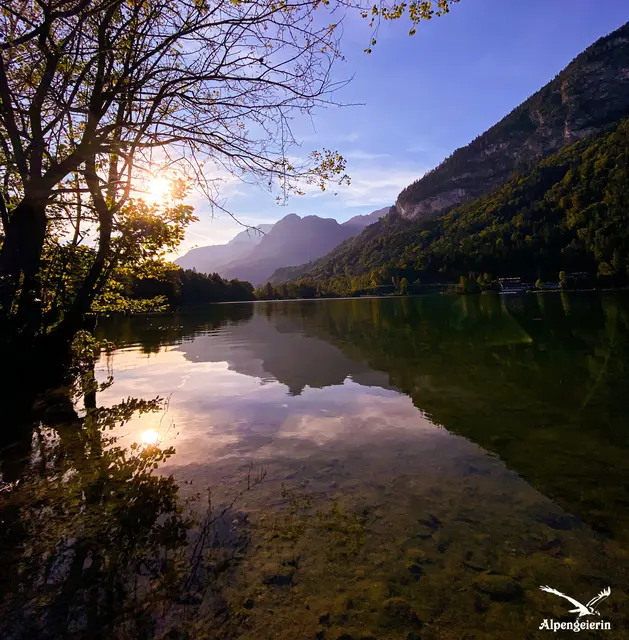 Foto: Janet Bleiker  / Alpengeierin