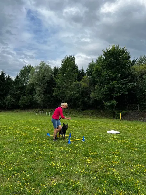 Tierheimleiterin Nina Mocnik beim Training mit Hunden | Foto: Mocnik