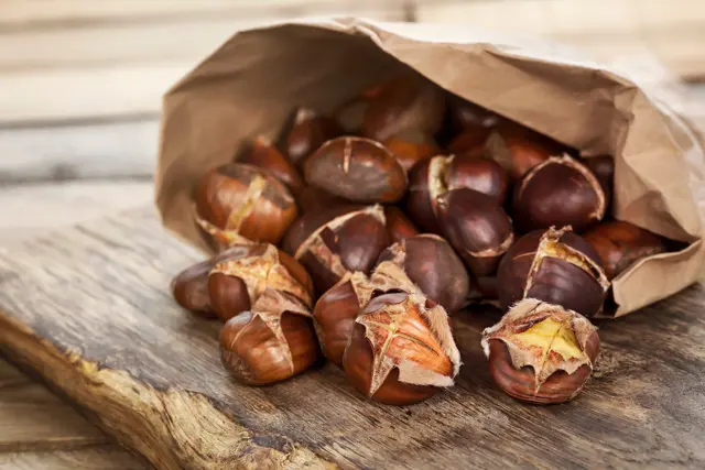 Im Herbst und Winter sind Maroni und Esskastanien beliebte Naschereien oder Zutaten zu verschiedenen Gerichten. Vier der 14 getesteten Produkte in Kärnten wurden wegen Schimmel- und Wurmbefalls sowie beschädigter Früchte beanstandet und damit als nicht für den Verzehr geeignet eingestuft. | Foto: stock.adobe.com/at/Marek Gottschalk