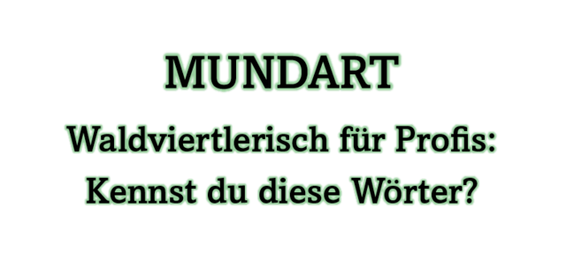 Wie gut kannst du waldviertlerisch? Die Auflösung gibt es ebenfalls in diesem Beitrag. | Foto: B. Hofmann