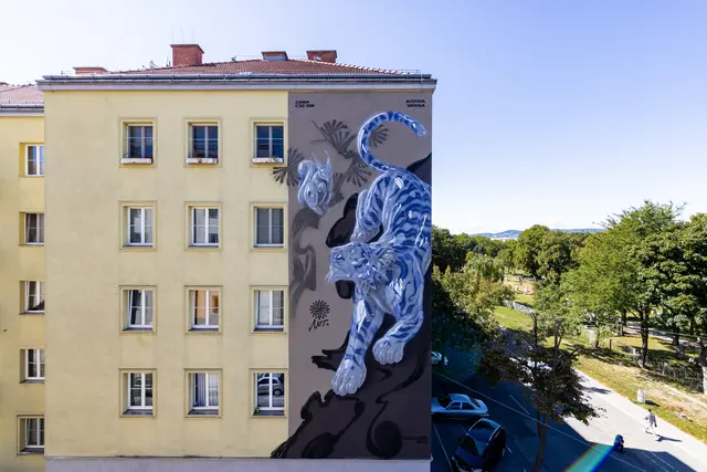 Meidlings Fassaden wurden dank Calle Libre bunter. Am Foto: Das Mural in der Moosbruggergasse 2 von Nut aus China. | Foto: Jolly Schwarz/ Calle Libre