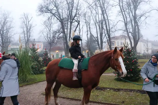 Foto: Alejandra Ortiz