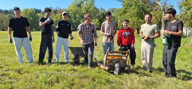 Im Herbst wurden gemeinsam mit Geflüchteten Äpfel und Birnen, die verrottet wären, gesammelt und für den guten Zweck verkauft. | Foto: Naturpark Obst-Hügel-Land, Ortner