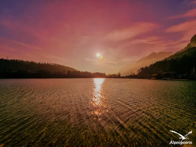 Foto: Janet Bleiker  / Alpengeierin