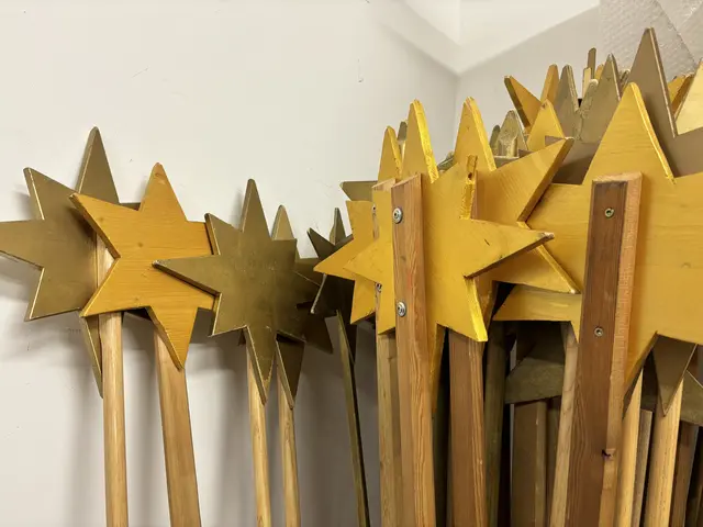 In Weiz sucht man noch fleißig nach Sternsingerinnen und Sternsinger, welche Zeit und Lust haben. | Foto: MeinBezirk/Leonie Herrmann