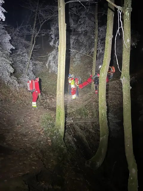 Eine Frau war beim Wandern gestürzt und hatte sich dabei am Fuß verletzt. | Foto: Bergrettung Steiermark