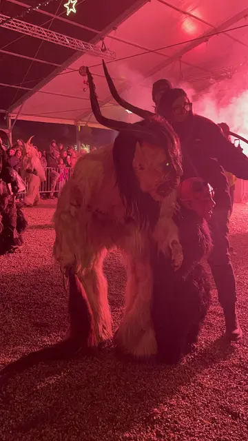 Foto: Alejandra Ortiz