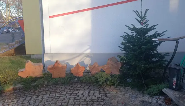 Die Christbäume von Schlossblick Strohmeier kommen Familien aus der Region zugute. | Foto: privat