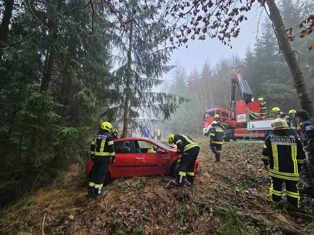 Das Fahrzeug landete in einem Wald. | Foto: FF Waidhofen/Thaya