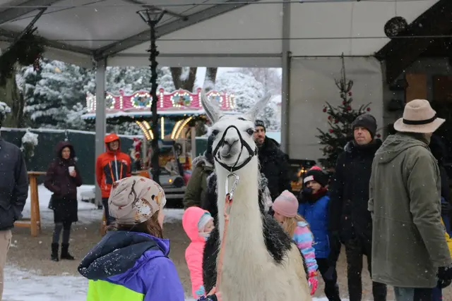 Foto: Sc Bad Sauerbrunn