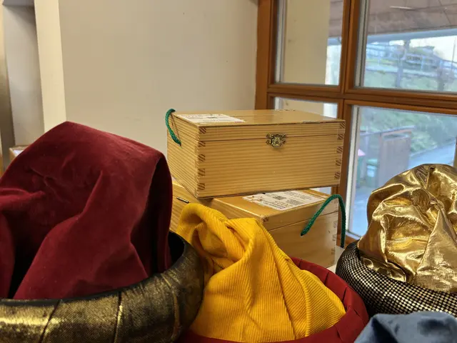 In Weiz werden rund 500-600 Sternsingerinnen und Sternsinger im Stadtgebiet sowie ländlichen Gebieten unterwegs sein. | Foto: MeinBezirk/Leonie Herrmann