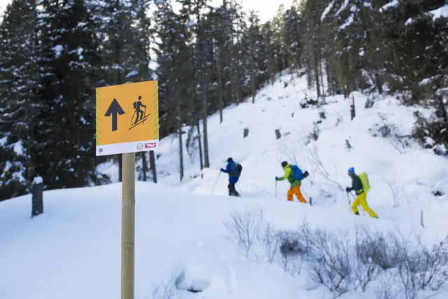 Panoramatafeln weisen auf empfindliche Naturzonen hin. Eine Einladung zu respektvollem Verhalten in den Bergen. | Foto: Land Tirol