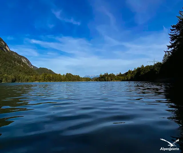 Foto: Janet Bleiker  / Alpengeierin