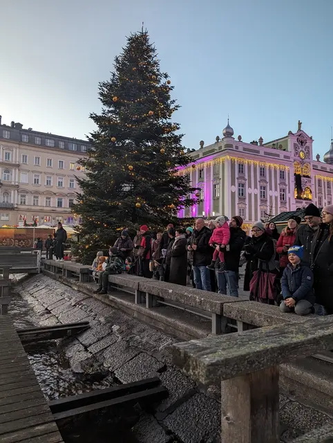 Das Christbaumtauchen der Wasserrettung Gmunden-Altmünster findet am 20. Dezember statt. | Foto: ÖWR Gmunden