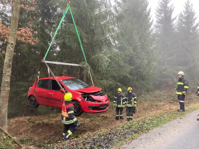 Bergung durch die Feuerwehr | Foto: FF Waidhofen/Thaya