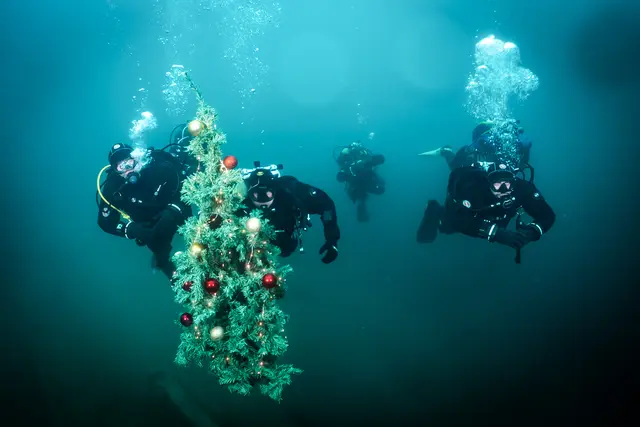 Ab ins kühle Nass: Taucher setzen seit 25 Jahren einen Christbaum am Grund der Traun bei Lambach. | Foto: Tauchclub Lambach