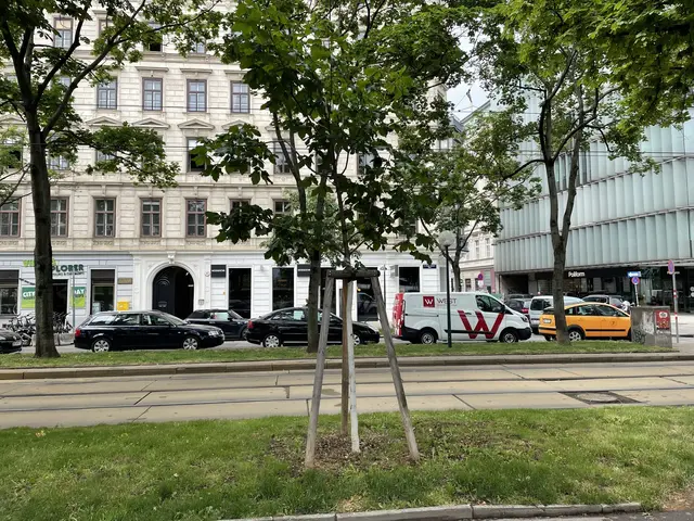 Die Innere Stadt soll endlich verkehrsberuhigt werden.  | Foto: Niklas Varga