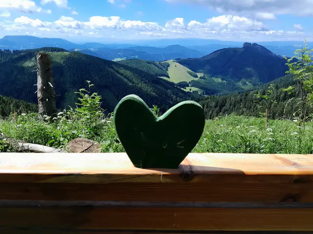 Danke an unsere Regionautinnen und Regionauten: Jeder Beitrag und jedes Bild hat auch 2025 wieder dazu beigetragen, MeinBezirk zu einem Ort des Austauschs zu machen. | Foto: Michaela Gold