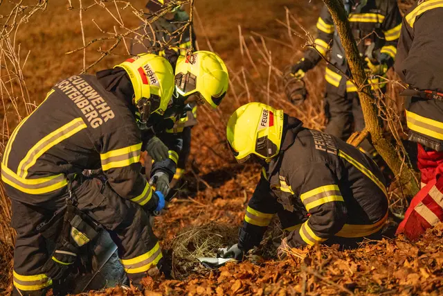 Foto: Team Fotokerschi/Martin Scharinger