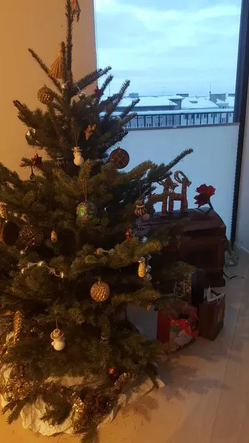 Foto: Irene Schauer-Larimian