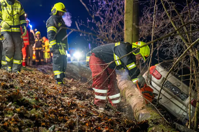 Foto: Team Fotokerschi/Martin Scharinger