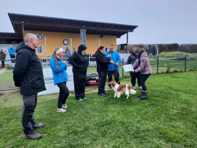 Foto: Schedina