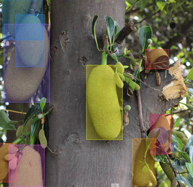 Früchte markieren, aber nur in bestimmter Größe oder Form- die Anforderungen an Grunddaten für KI-Training sind vielfältig. | Foto: RAS GmbH