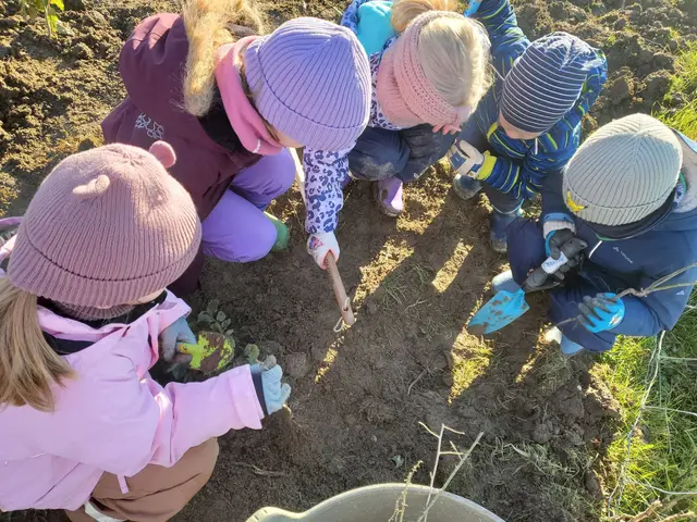  Ein beeindruckender Beitrag zum regionalen Natur- und Klimaschutz – mitten im Weinviertel. | Foto: Citizens Forests Wolkersdorf