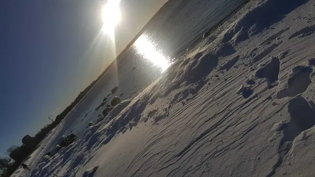 Foto: Irene Schauer-Larimian